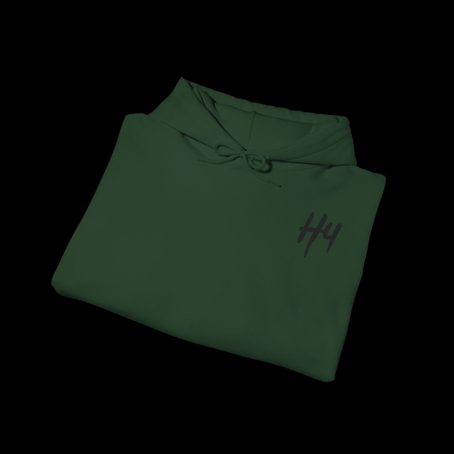 H4VEN Unisex Hoodie #01 - "The New Standard" Different Colors
